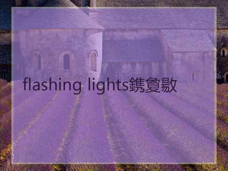 flashing lights鎸夐敭