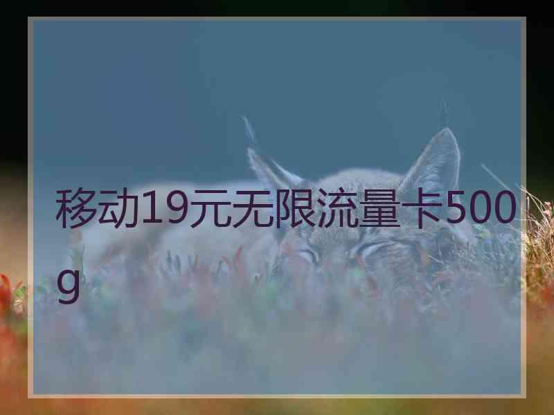 移动19元无限流量卡500g