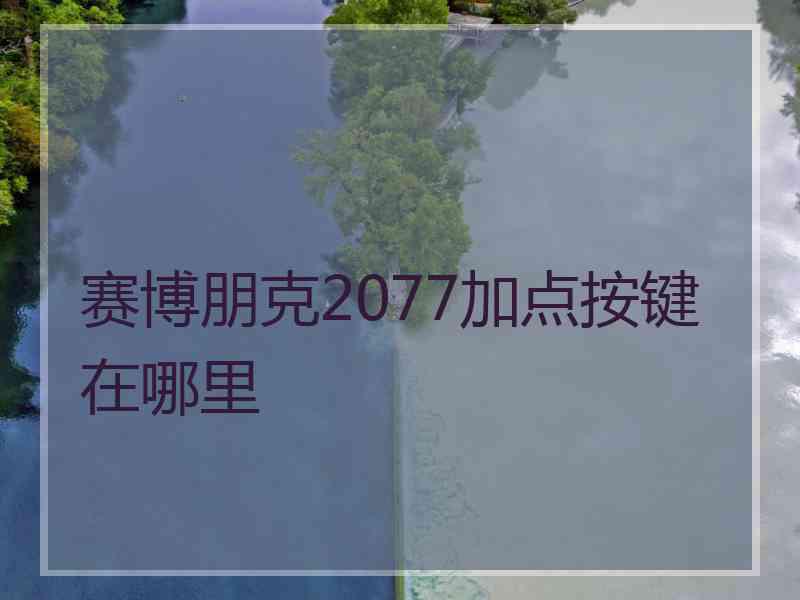 赛博朋克2077加点按键在哪里