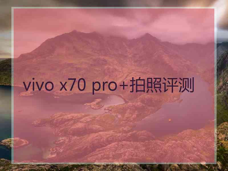 vivo x70 pro+拍照评测