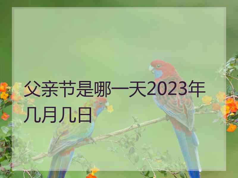 父亲节是哪一天2023年几月几日