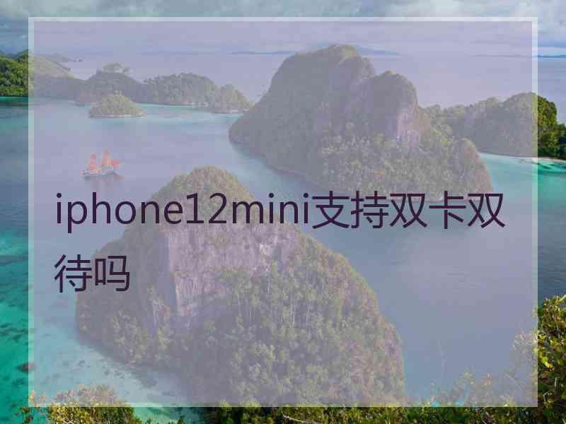 iphone12mini支持双卡双待吗