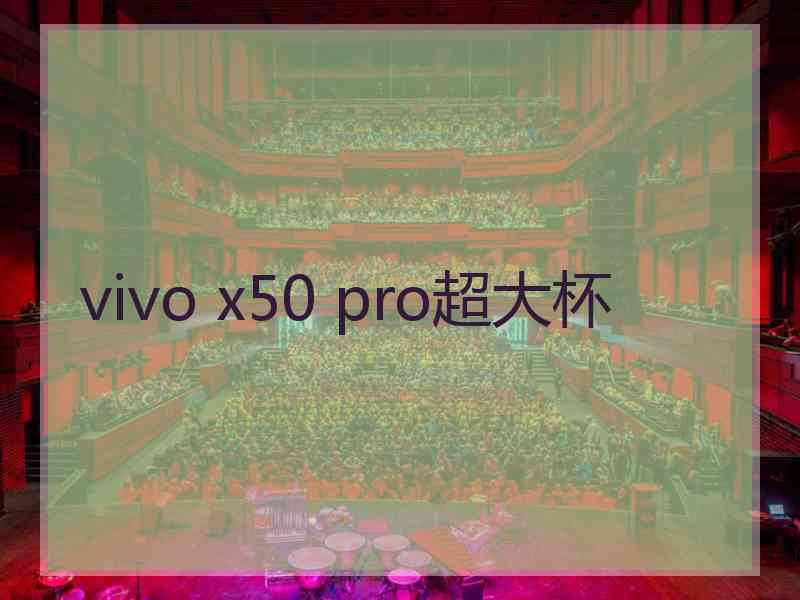 vivo x50 pro超大杯