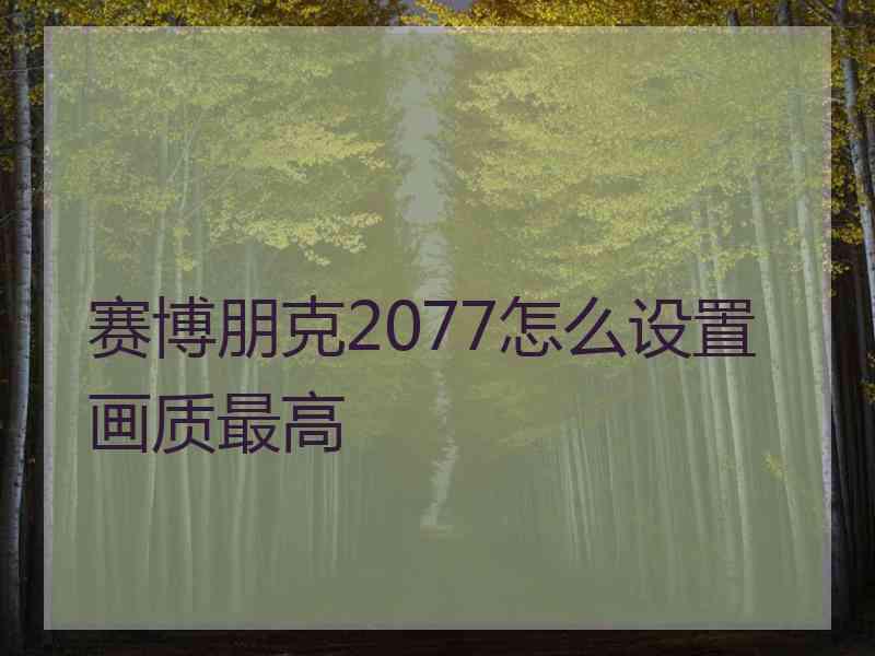 赛博朋克2077怎么设置画质最高