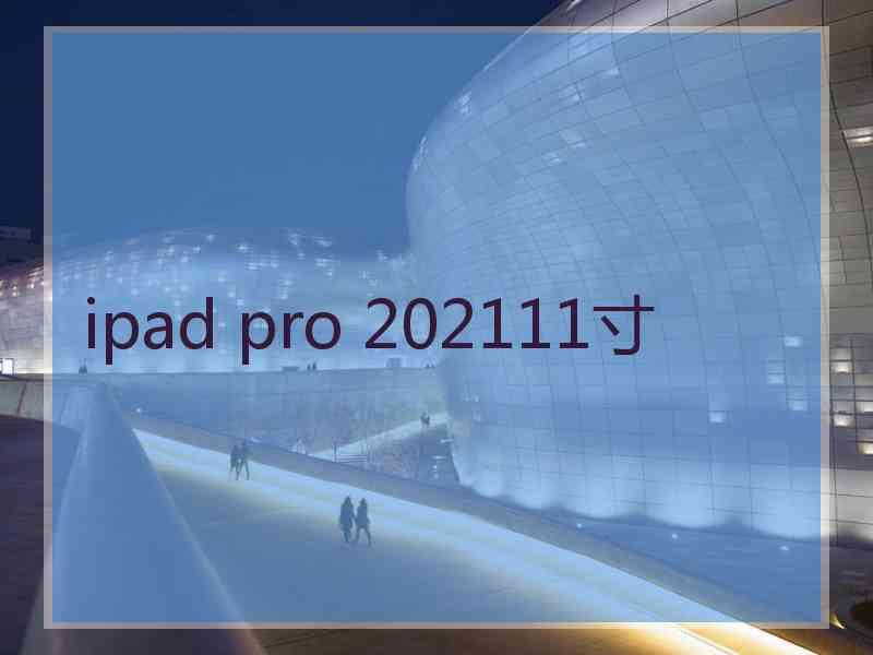 ipad pro 202111寸