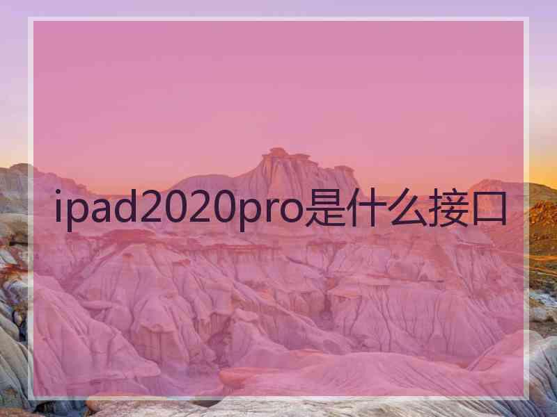 ipad2020pro是什么接口