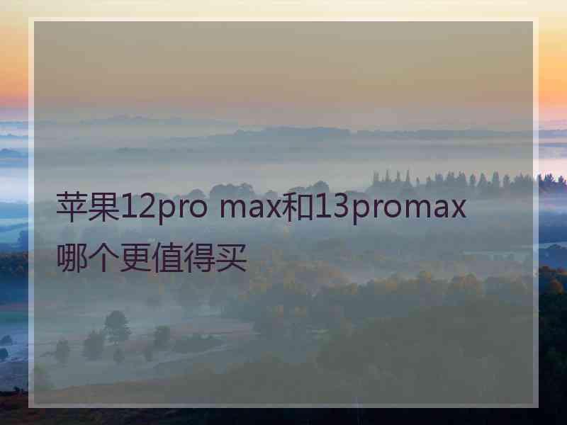 苹果12pro max和13promax哪个更值得买