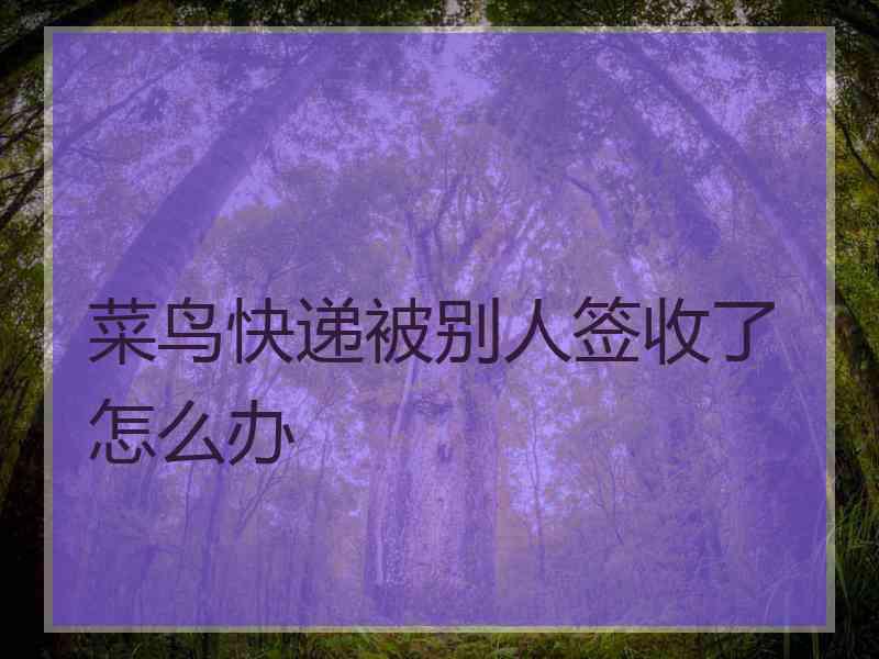 菜鸟快递被别人签收了怎么办