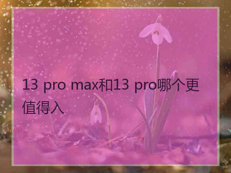 13 pro max和13 pro哪个更值得入