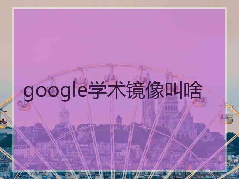 google学术镜像叫啥