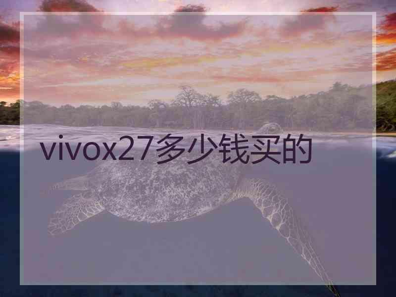 vivox27多少钱买的