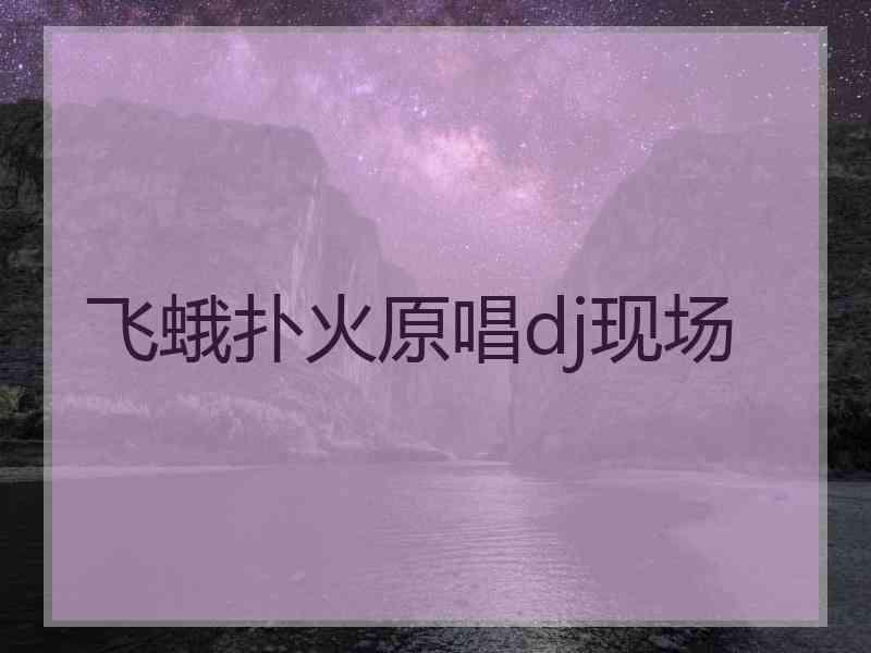 飞蛾扑火原唱dj现场