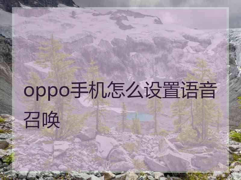 oppo手机怎么设置语音召唤