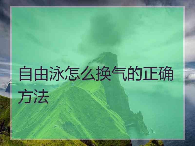 自由泳怎么换气的正确方法