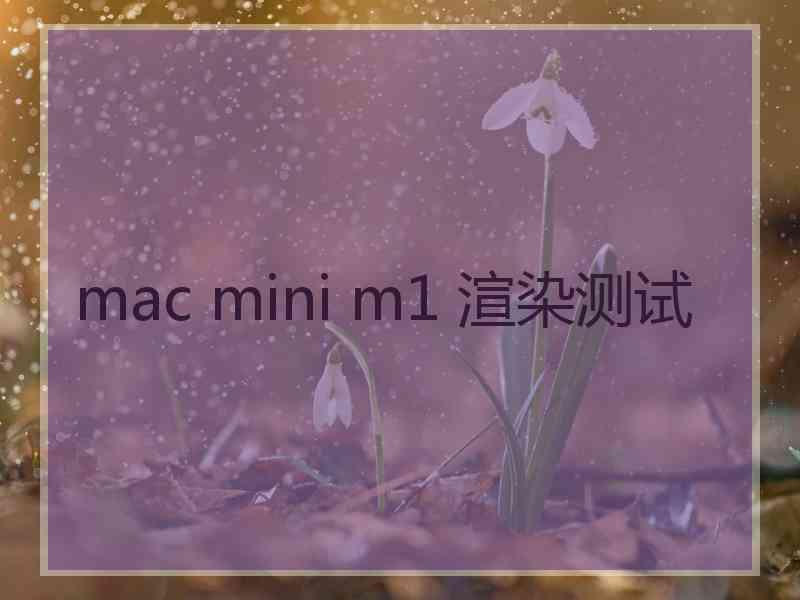 mac mini m1 渲染测试