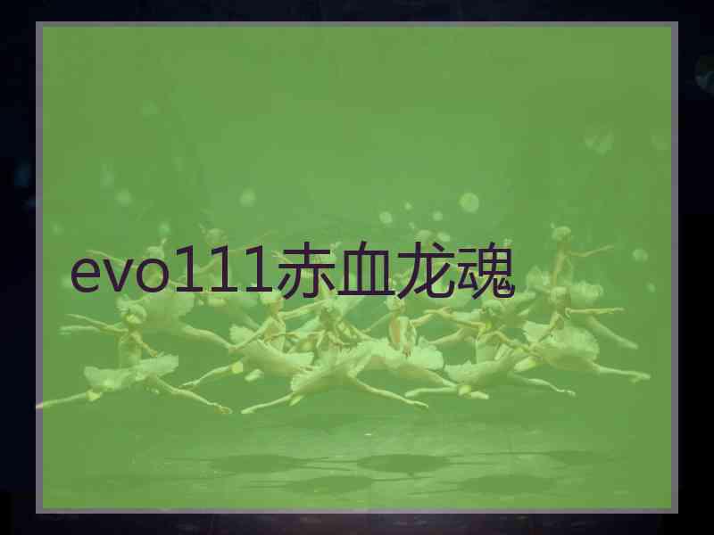 evo111赤血龙魂