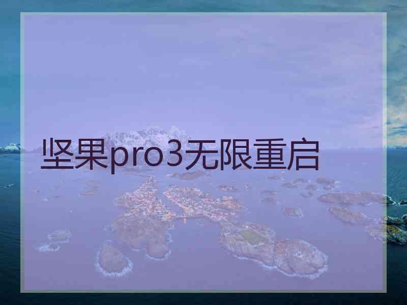 坚果pro3无限重启