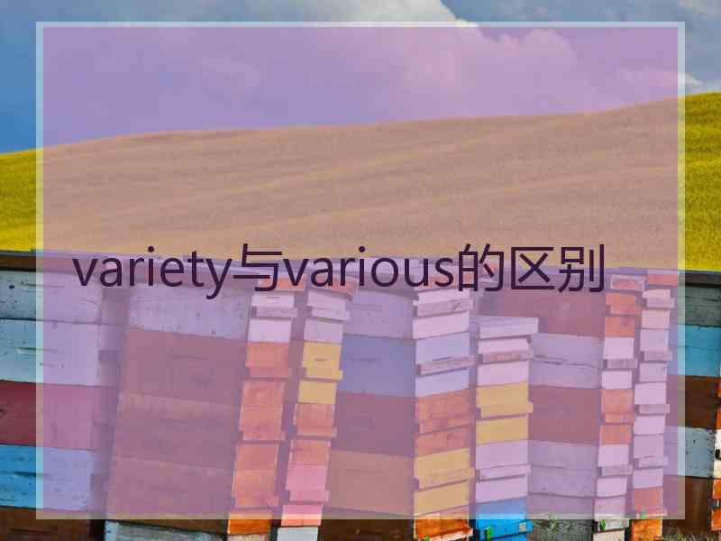 variety与various的区别