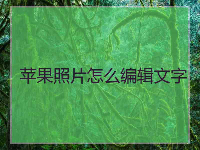 苹果照片怎么编辑文字