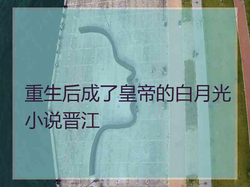 重生后成了皇帝的白月光小说晋江