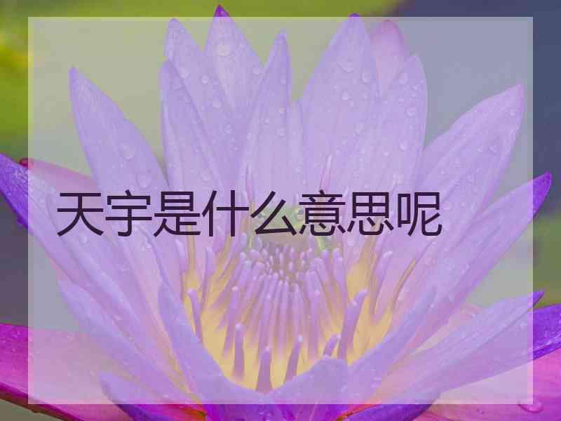 天宇是什么意思呢