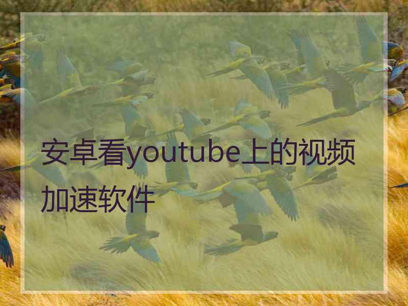 安卓看youtube上的视频加速软件