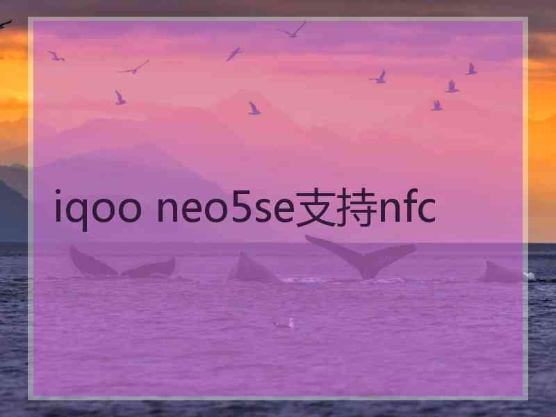 iqoo neo5se支持nfc