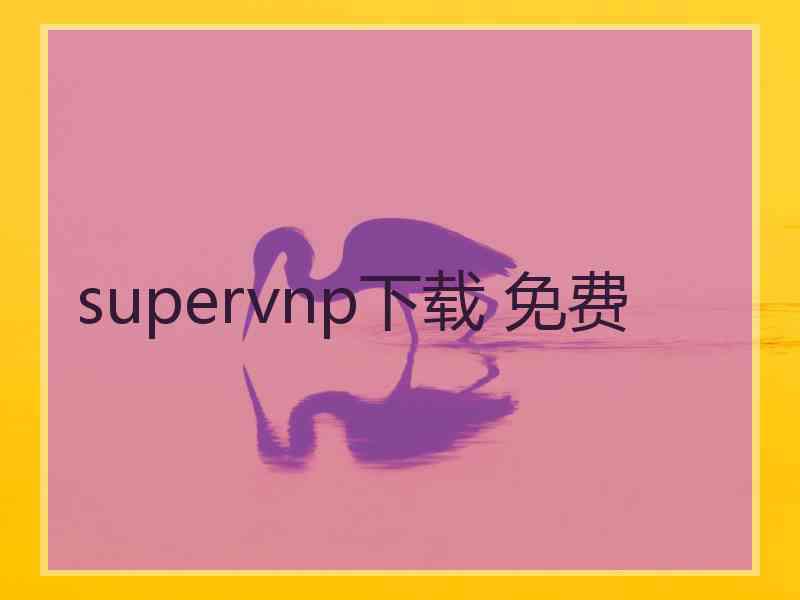 supervnp下载 免费