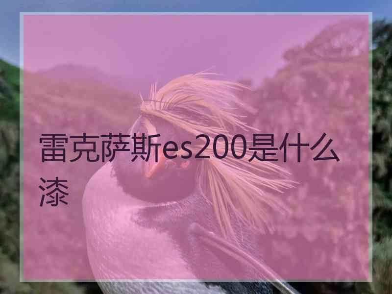 雷克萨斯es200是什么漆