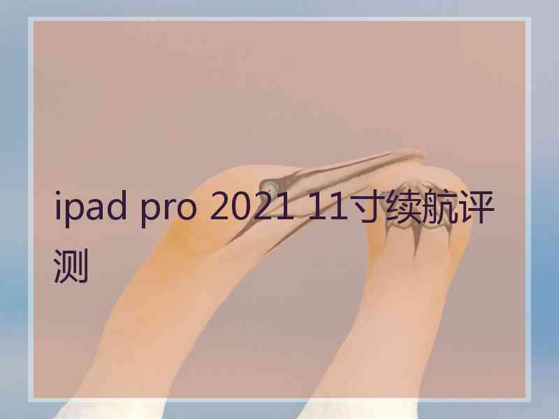 ipad pro 2021 11寸续航评测