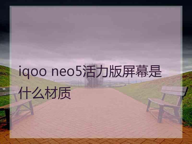 iqoo neo5活力版屏幕是什么材质