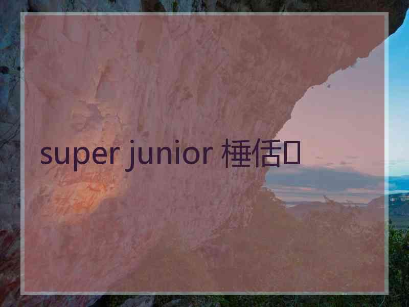 super junior 棰佸