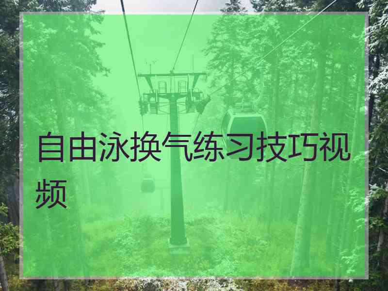 自由泳换气练习技巧视频