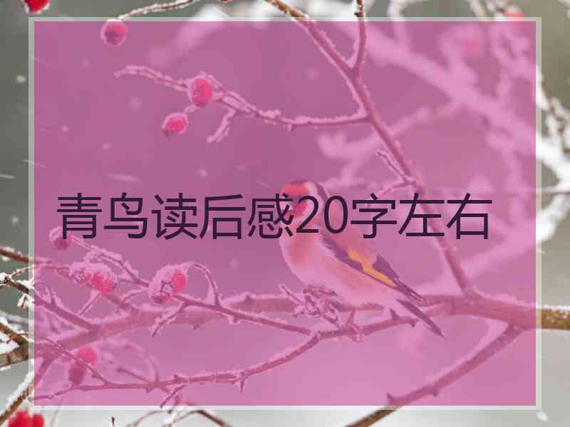 青鸟读后感20字左右