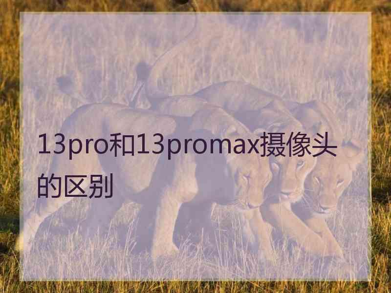 13pro和13promax摄像头的区别