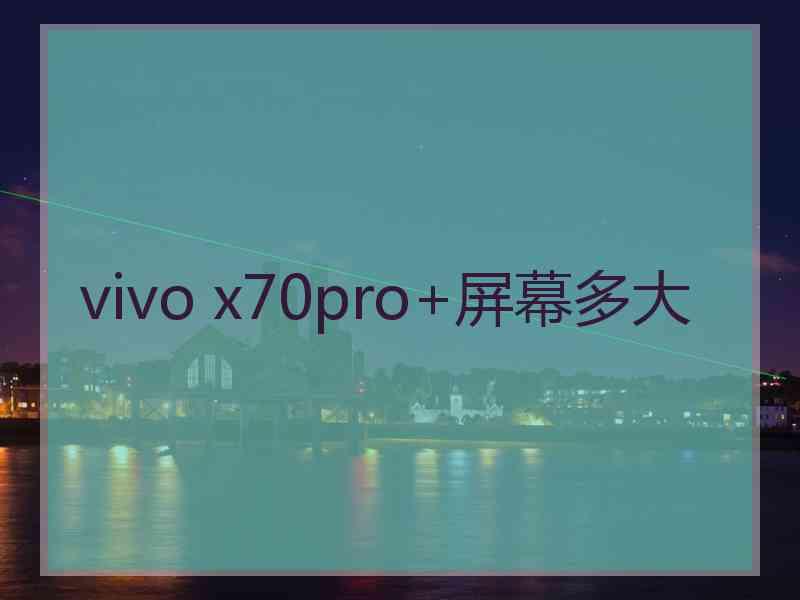 vivo x70pro+屏幕多大