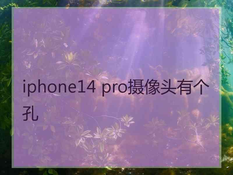 iphone14 pro摄像头有个孔