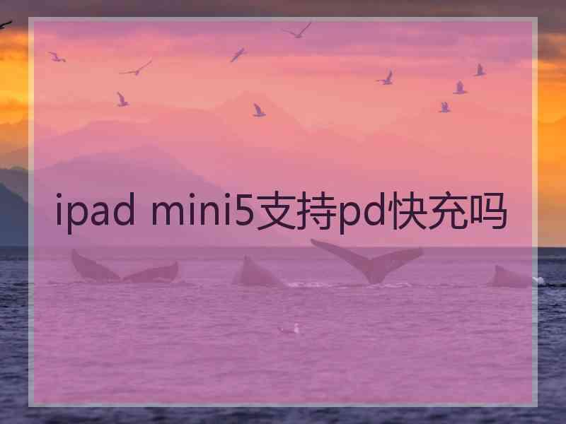 ipad mini5支持pd快充吗