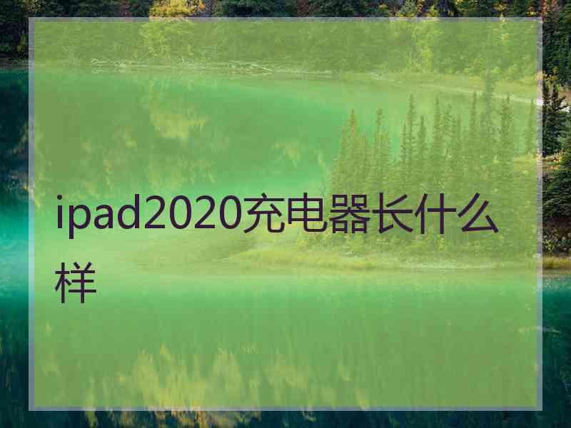 ipad2020充电器长什么样