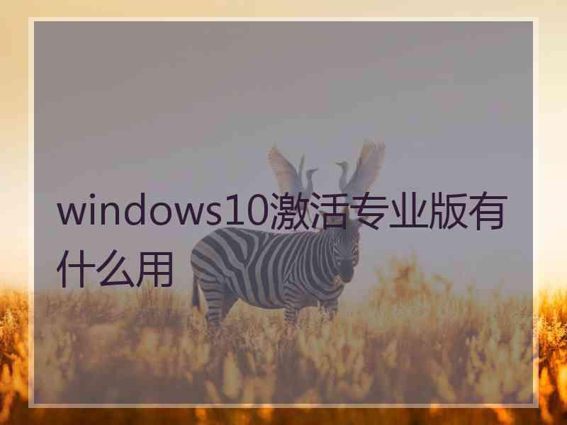 windows10激活专业版有什么用