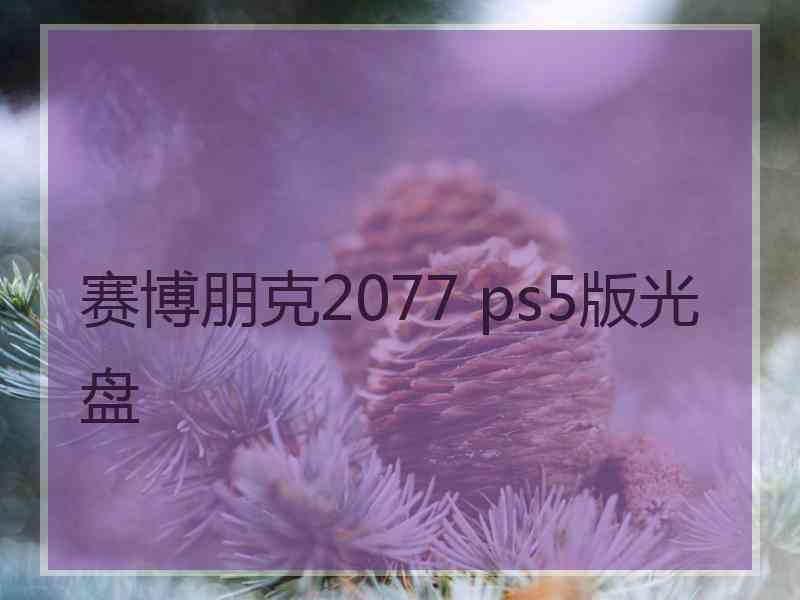 赛博朋克2077 ps5版光盘