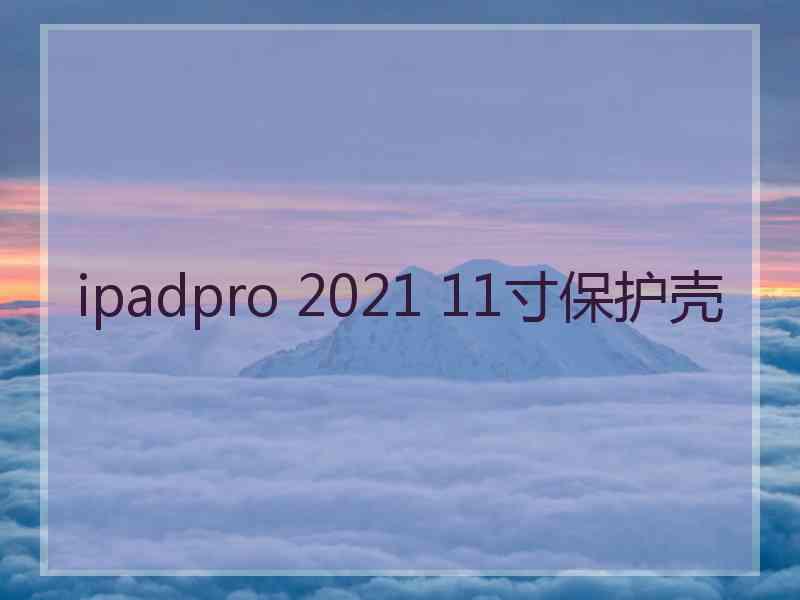 ipadpro 2021 11寸保护壳