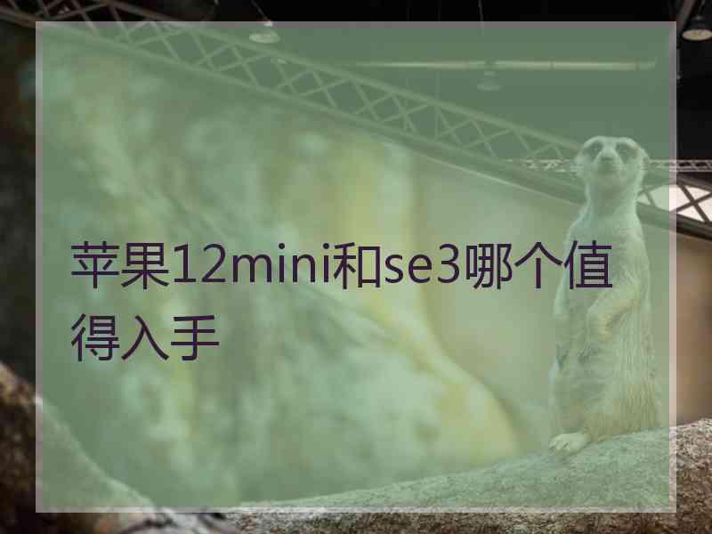 苹果12mini和se3哪个值得入手