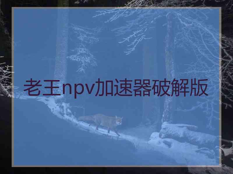 老王npv加速器破解版