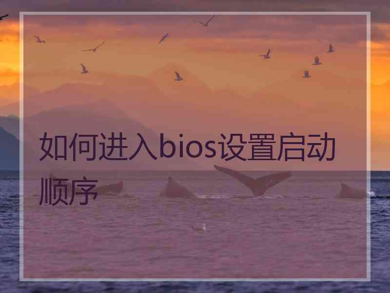 如何进入bios设置启动顺序