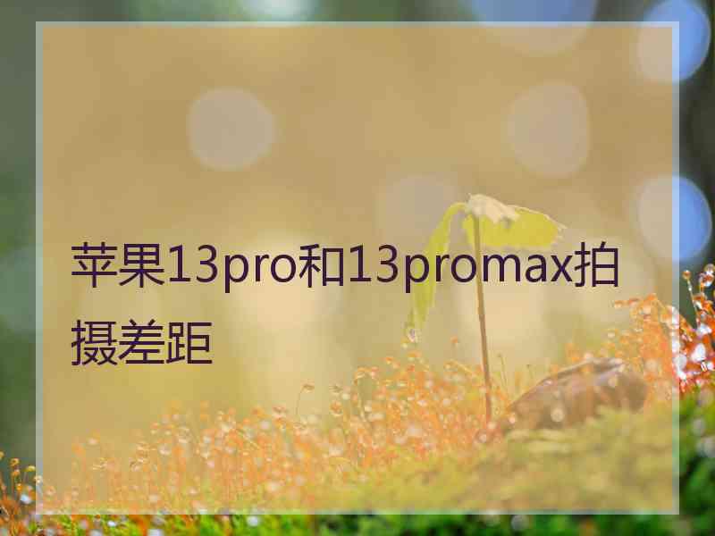 苹果13pro和13promax拍摄差距