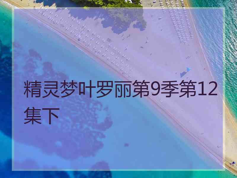 精灵梦叶罗丽第9季第12集下