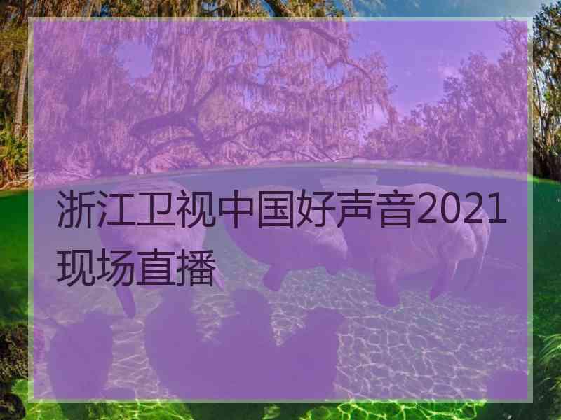 浙江卫视中国好声音2021现场直播