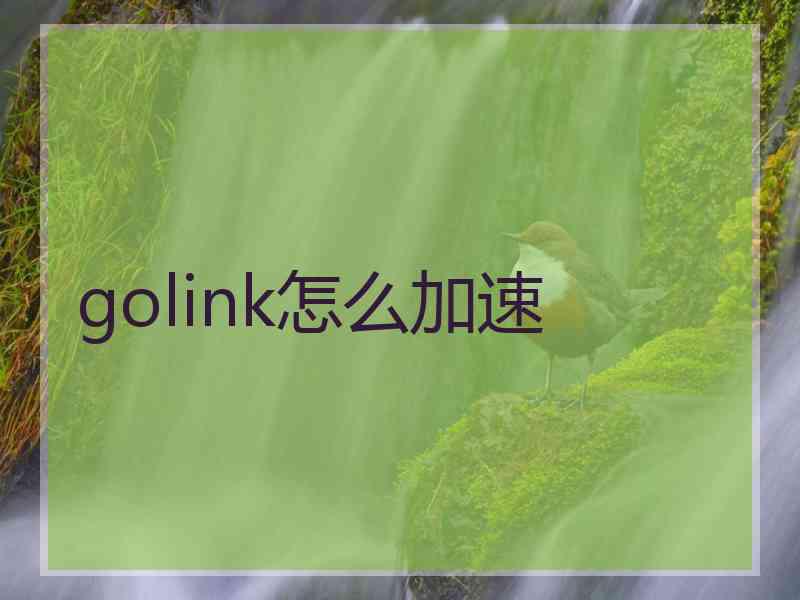 golink怎么加速