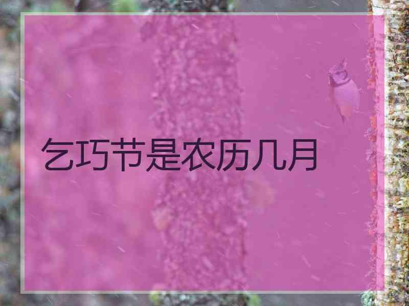 乞巧节是农历几月